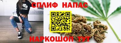 крисы Коммунар