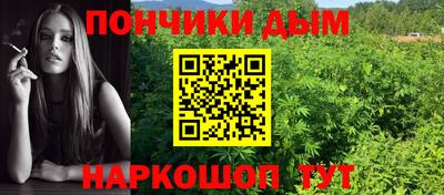 крисы Коммунар