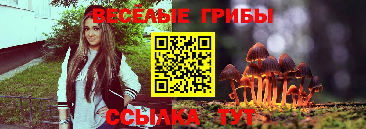 Псилоцибиновые грибы Cubensis Краснокаменск