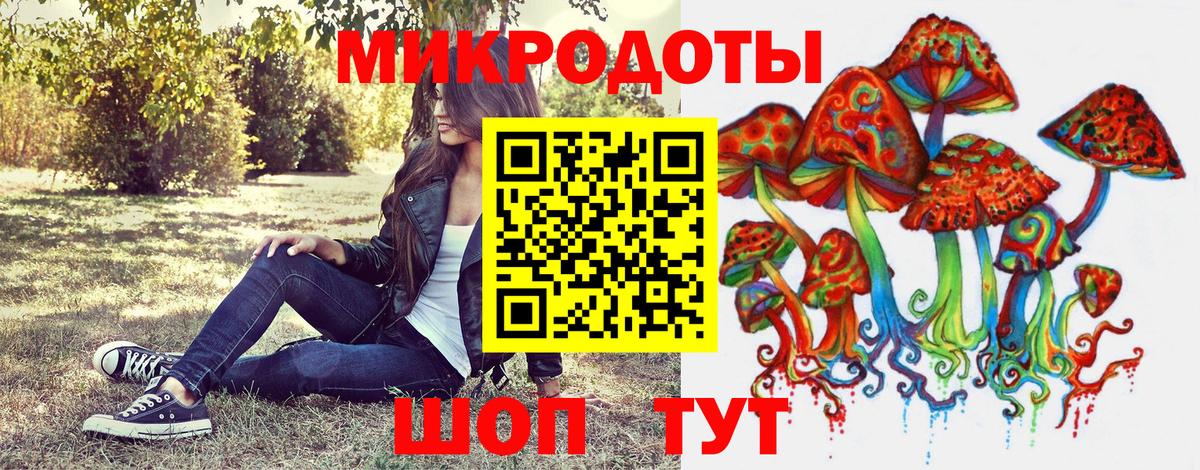 Краснокаменск  Псилоцибиновые грибы GOLDEN TEACHER  купить наркотик  Вход с VPN 